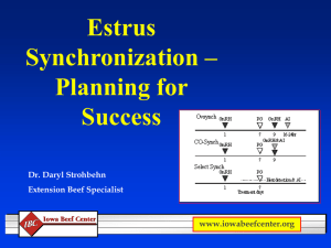 Estrus Synchronization – Planning for Success