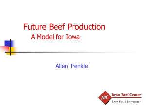 Future Beef Production A Model for Iowa Allen Trenkle