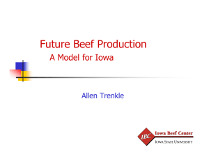 Future Beef Production A Model for Iowa Allen Trenkle