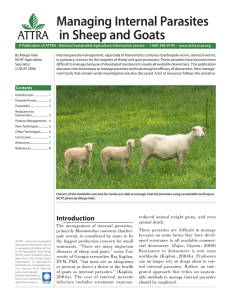 Managing Internal Parasites in Sheep and Goats ATTRA