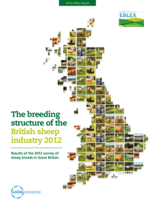 The breeding structure of the British sheep industry 2012