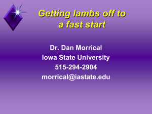 Getting lambs off to a fast start Dr. Dan Morrical Iowa State University