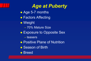 Age at Puberty