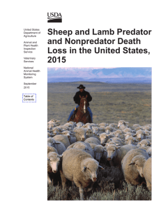 Sheep and Lamb Predator and Nonpredator Death Loss in the United States, 2015