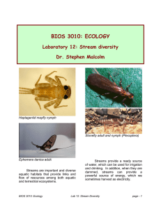 BIOS 3010: ECOLOGY  Laboratory 12: Stream diversity Dr. Stephen Malcolm