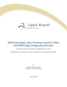 WAN Advantage: New Thinking in Branch Office and WAN Edge... lippis.com 1