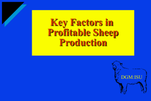 Key Factors in Profitable Sheep Production DGM:ISU