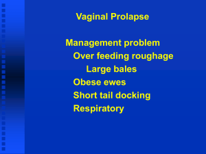 Vaginal Prolapse Management problem Over feeding roughage Large bales