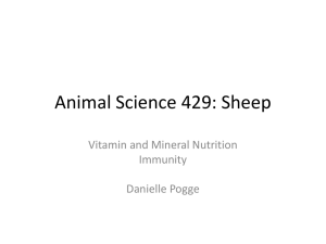 Animal Science 429: Sheep Vitamin and Mineral Nutrition Immunity Danielle Pogge