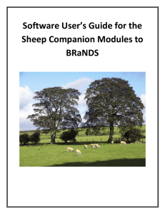 Software User’s Guide for the Sheep Companion Modules to BRaNDS