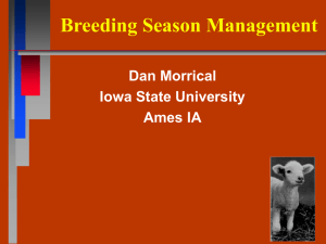 Breeding Season Management Dan Morrical Iowa State University Ames IA
