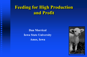 Feeding for High Production and Profit Dan Morrical Iowa State University