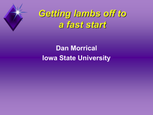 Getting lambs off to a fast start Dan Morrical Iowa State University