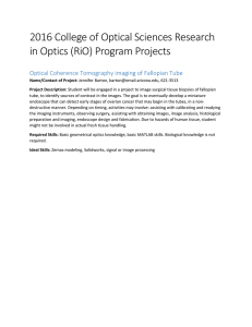 2016 College of Optical Sciences Research in Optics (RiO) Program Projects