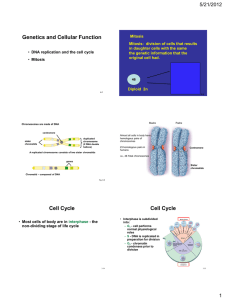 Genetics and Cellular Function 5/21/2012