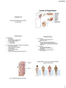 Chapter 19 Levels of Organization 6/11/2012 Homeostasis &amp; Organization of the