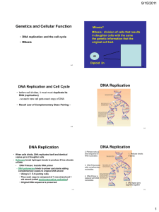 Genetics and Cellular Function 9/15/2011