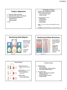 Today’s Objectives 2/14/2012 The Study of Tissues