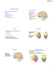 2/22/2012 Chapter 8 outline  Structural organization of the brain