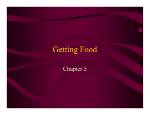 Getting Food Chapter 5