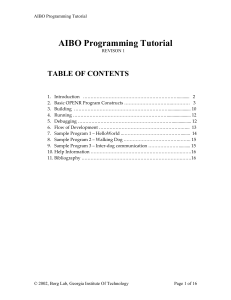 AIBO Programming Tutorial TABLE OF CONTENTS