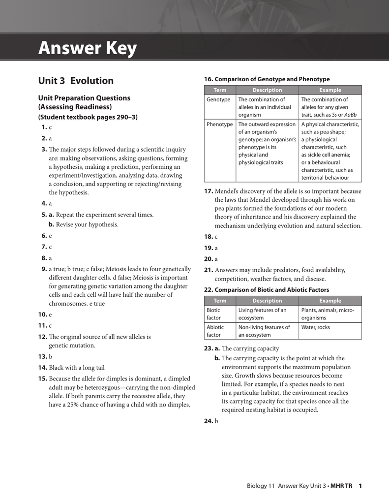 worksheet answers diversity animal Pool Of Answers Analysis A Squirrel Gene Worksheet