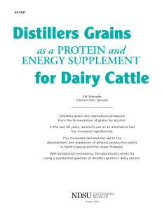 Distillers Grains for Dairy Cattle as a ENERGY SUPPLEMENT