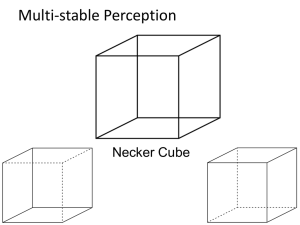 Multi-stable Perception Necker Cube