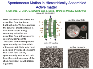 Spontaneous Motion in Hierarchically Assembled Active matter
