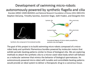 Development of swimming micro-robots autonomously powered by synthetic flagella and cilia