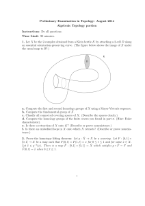 Preliminary Examination in Topology: August 2014 Algebraic Topology portion Instructions Time Limit
