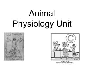 Animal Physiology Unit