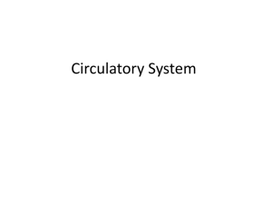 Circulatory System