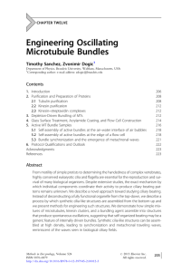 Engineering Oscillating Microtubule Bundles Timothy Sanchez, Zvonimir Dogic CHAPTER TWELVE