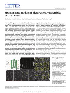 LETTER Spontaneous motion in hierarchically assembled active matter