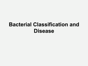 Bacterial Classification and Disease