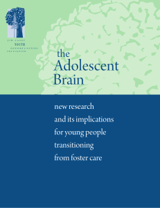 Adolescent Brain  the