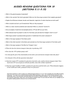 GUIDED READING QUESTIONS FOR 1B (SECTIONS 5.11-5.15)