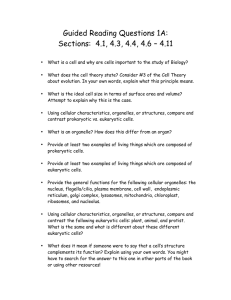 Guided Reading Questions 1A: