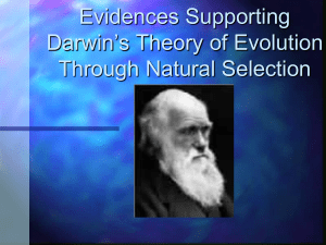 Evidences Supporting Darwin’s Theory of Evolution Through Natural Selection