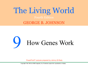 9 The Living World How Genes Work GEORGE B. JOHNSON