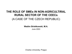THE ROLE OF SMEs IN NON-AGRICULTIRAL RURAL SECTOR OF THE CEECs