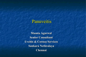 Panuveitis Mamta Agarwal Senior Consultant Uveitis &amp; Cornea Services