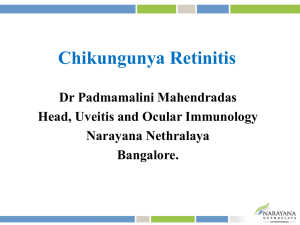 Chikungunya Retinitis Dr Padmamalini Mahendradas Head, Uveitis and Ocular Immunology Narayana Nethralaya