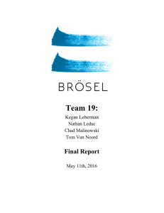 Team 19: Final Report      