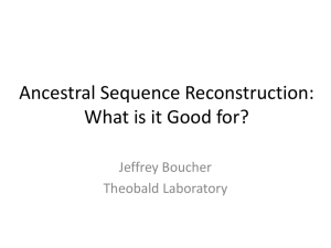 Ancestral Sequence Reconstruction: What is it Good for? Jeffrey Boucher Theobald Laboratory