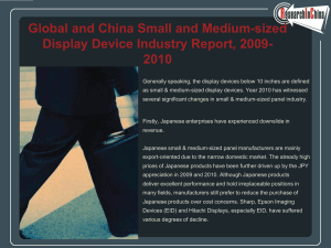 Global and China Small and Medium-sized Display Device Industry Report, 2009- 2010