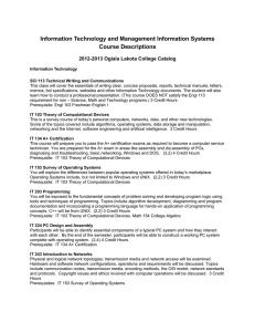 Information Technology and Management Information Systems Course Descriptions