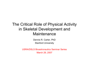 The Critical Role of Physical Activity in Skeletal Development and Maintenance