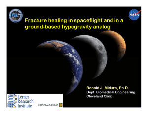 Fracture healing in spaceflight and in a ground - based